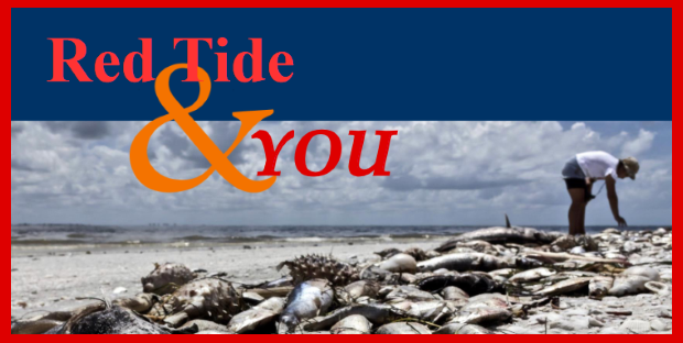RED-TIDE-PRESENTAITON