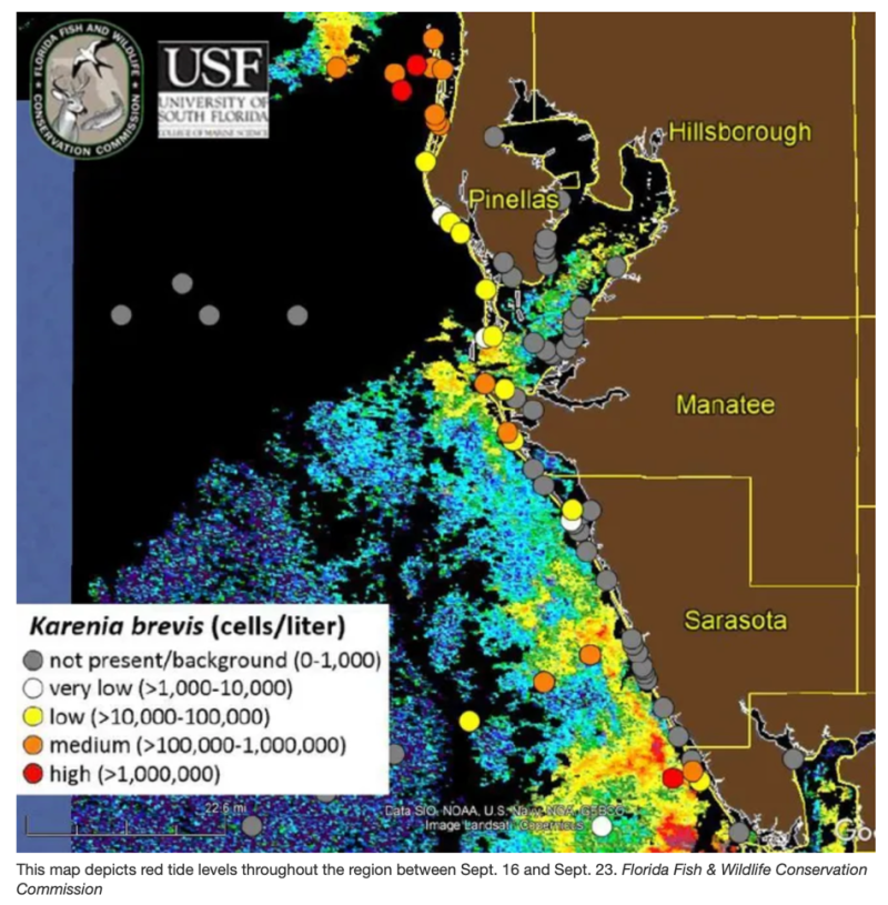 Red Tide Graphic from Sarasota Herald Tribune