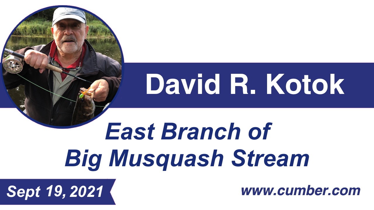 East Branch of Big Musquash Stream - A commentary and tale by David R. Kotok