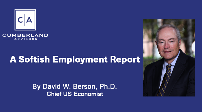 Softish Employment Report