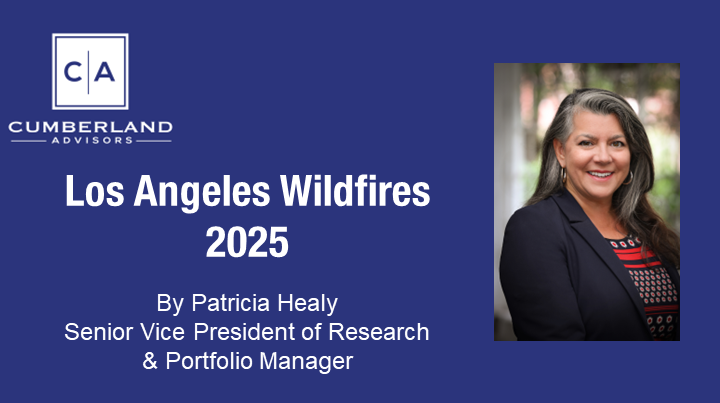 Los Angeles Wildfires 2025