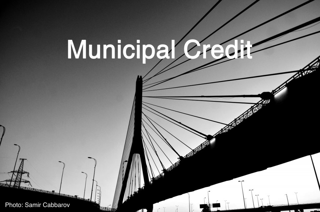 Municipal Credit