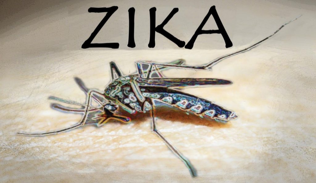 Zika-Pamphlet-by-David-R-Kotok