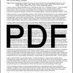 Stratecon RiskBrief PDF