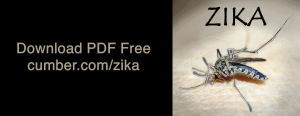 Zika PDF
