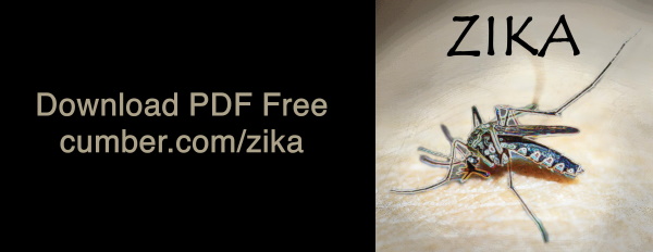 Zika Download - Kotok