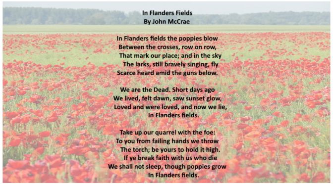 Field-of-poppies-blooming-red-1280x720